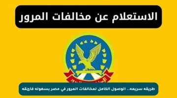 طريقة سريعة.. الوصول الكامل لمخالفات المرور في مصر بسهولة فائقة